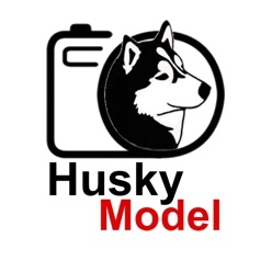 Husky Model. Модельное агентство пушистых друзей. 
