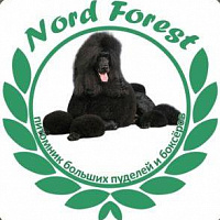 NORD FOREST