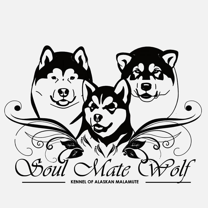 Soul Mate Wolf