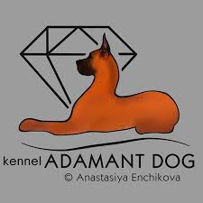ADAMANT DOG