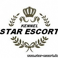 STAR ESCORT