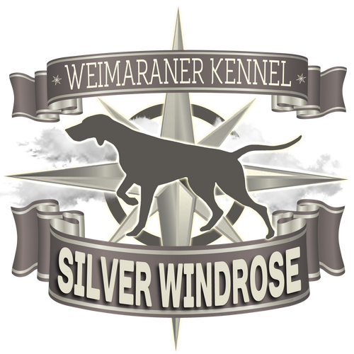 SILVER WINDROSE