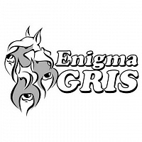 ENIGMA GRIS