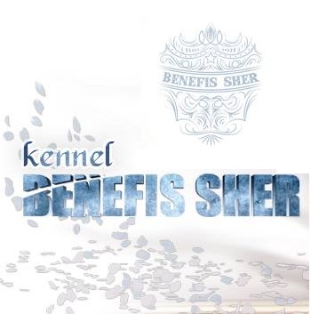 BENEFIS SHER