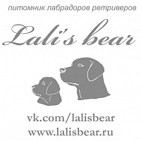 LALI’S BEAR